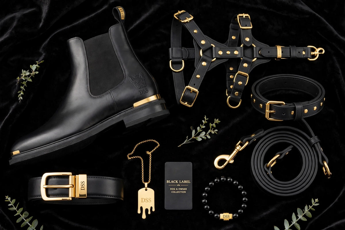 DSS Black Label accessories set with harness, collar, and leash on velvet