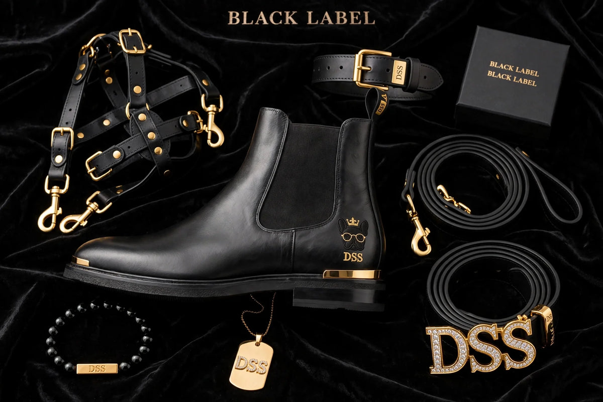 DSS Black Label leather accessories flat-lay with collar, harness, and jewelry