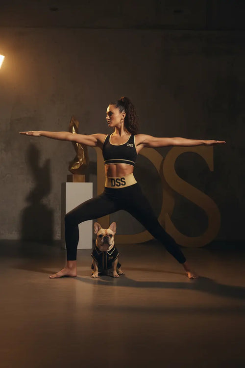 DSS black legging dark studio hero shot with Frenchie